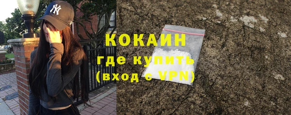 трава Наволоки