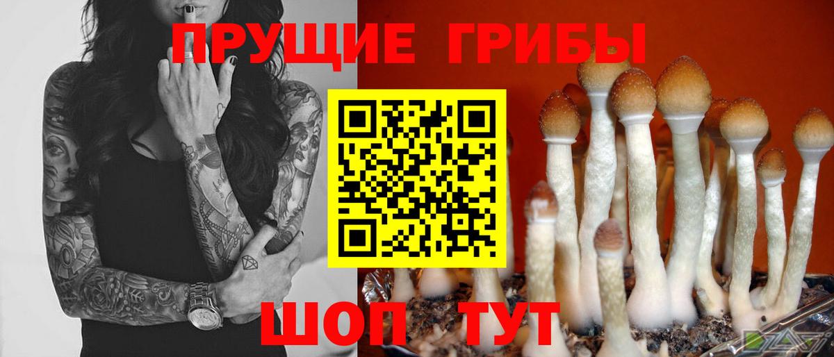 Псилоцибиновые грибы мухоморы  Вход с VPN  Ялта 